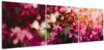 Mivali Tablou cu florile tufișului înflorit, din trei bucăți 150x50 cm (V020196V15050)
