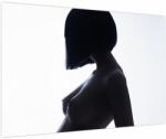 Mivali Tablou - Silueta feminină, nud, dintr-o bucată 90x60 cm (V023899V9060)
