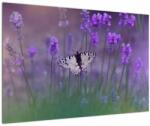 Mivali Tablou - fluture în lavandă, dintr-o bucată 90x60 cm (V021452V9060)