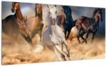 Mivali Tablou pe sticlă - Caii în deșert, dintr-o bucată 100x50 cm pe sticlă (V023220V10050GD)