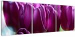 Mivali Tablou cu lalele, din trei bucăți 120x40 cm (V020308V12040)