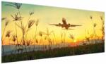 Mivali Tablou cu avion zburând, dintr-o bucată 250x125 cm (V020504V250125)