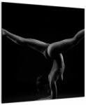 Mivali Tablou - Gimnasta nud în întuneric, dintr-o bucată 50x50 cm (V023080V5050)