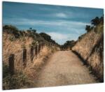 Mivali Tablou - Pe potecă, dintr-o bucată 70x50 cm (V021320V7050)