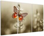 Mivali Tablou cu fluture, din trei bucăți 120x80 cm (V022227V120803PCS)