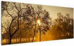 Mivali Tablou - Răsărit de soare, dintr-o bucată 120x50 cm (V022432V12050)