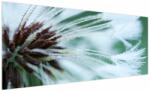 Mivali Tablou - Detaliu floare, dintr-o bucată 250x125 cm (V023723V250125)