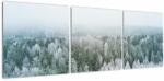 Mivali Tablou - Crestele munțillor înzăpezite, din trei bucăți 120x40 cm (V022454V12040)