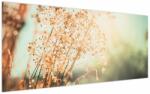 Mivali Tablou - Plante de luncă, dintr-o bucată 120x50 cm (V023850V12050)