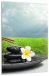 Mivali Tablou - Spa and relax, dintr-o bucată 30x40 cm (V021279V3040)