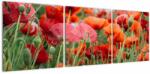 Mivali Tablou din câmp cu maci, din trei bucăți 120x40 cm (V021722V12040)