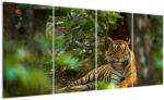 Mivali Tablou - Tigru odihnindu -se, din patru bucăți 160x80 cm (V023423V16080)
