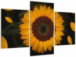 Mivali Tablou - Floarea soarelui și petale, din trei bucăți 90x60 cm (V021736V90603PCS)