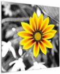 Mivali Tablou cu floare galbenă, dintr-o bucată 70x70 cm (V020361V7070)