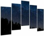 Mivali Tabloul cu cerul nocturn, din cinci bucăți 125x90 cm (V020039V12590)