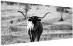 Mivali Tablou - Vacă, alb-negru, dintr-o bucată 120x50 cm (V023978V12050)