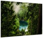 Mivali Tablou pe sticlă - Fereastra între copaci, dintr-o bucată 70x50 cm pe sticlă (V022717V7050GD)