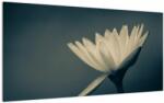 Mivali Tablou pe sticlă cu flori, dintr-o bucată 100x50 cm pe sticlă (V021223V10050GD)