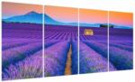 Mivali Tablou - Câmp de levănțica, din patru bucăți 160x80 cm (V023951V16080)
