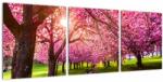 Mivali Tablou - Cireși înfloriți, Hurd Park, Dover, New Jersey, din trei bucăți 90x30 cm (V022582V9030)