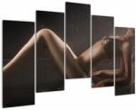 Mivali Tablou - Imaginea unei femei în picături de apă, din cinci bucăți 125x90 cm (V023499V12590)