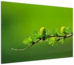 Mivali Tablou con verde, dintr-o bucată 100x70 cm (V020627V10070)