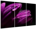 Mivali Tablou - Picătura de apă, din trei bucăți 120x80 cm (V021735V120803PCS)
