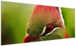 Mivali Tablou cu pasărea colorată, dintr-o bucată 250x125 cm (V020436V250125)