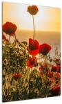 Mivali Tablou cu apus de soare cu flori de maci, dintr-o bucată 50x70 cm (V020877V5070)