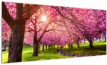 Mivali Tablou - Cireși înfloriți, Hurd Park, Dover, New Jersey, dintr-o bucată 100x40 cm (V022582V10040)