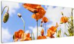 Mivali Tablou cu macii, dintr-o bucată 145x58 cm (V020407V14558)