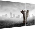 Mivali Tablou - Elefanți în oraș, versiunea alb-negru, din trei bucăți 120x80 cm (V023666V120803PCS)