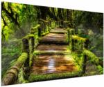 Mivali Tablou cu scări într-o pădure tropicală, dintr-o bucată 150x100 cm (V020941V150100)