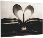 Mivali Tablou cu carte, dintr-o bucată 70x50 cm (V020456V7050)
