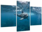 Mivali Tablou - Delfin sub apă, din trei bucăți 90x60 cm (V022382V90603PCS)