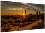 Mivali Tablou - Sfărșit de zi în deșertul Arizona, dintr-o bucată 120x70 cm (V021638V12070)