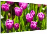 Mivali Tablou cu lale pe luncă, dintr-o bucată 120x70 cm (V020893V12070)