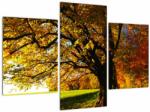 Mivali Tablou cu toamna, din trei bucăți 90x60 cm (V020682V90603PCS)