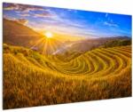 Mivali Tablou - Terasele de orez din Vietnam, dintr-o bucată 120x80 cm (V022373V12080)