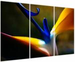 Mivali Tablou - Floare exotică, din trei bucăți 120x80 cm (V023749V120803PCS)