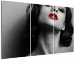 Mivali Tablou - Portretul unei femei cu ruj roșu, din trei bucăți 120x80 cm (V023573V120803PCS)