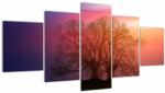 Mivali Tabloul pomilor în ceață, din cinci bucăți 150x80 cm (V020088V150805PCS)