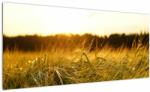 Mivali Tablou iarba cu rouă, dintr-o bucată 100x40 cm (V020584V10040)