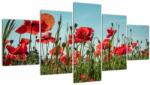 Mivali Tablou - Pe câmpul cu maci, din cinci bucăți 150x80 cm (V021727V150805PCS)
