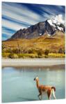 Mivali Tablou - Parcul Național Torres del Paine, dintr-o bucată 30x40 cm (V023745V3040)