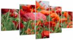 Mivali Tablou din câmp cu maci, din cinci bucăți 150x80 cm (V021722V150805PCS)