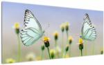 Mivali Tablou cu fluture pe floare, dintr-o bucată 120x50 cm (V021248V12050)