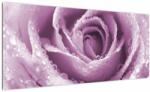 Mivali Tablou detaliu de floare de trandafir, dintr-o bucată 100x40 cm (V022116V10040)