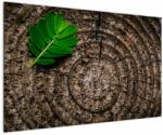 Mivali Tablou cu frunză pe trunchi de copac, dintr-o bucată 120x80 cm (V020813V12080)