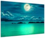 Mivali Tablou - Luna plină deasupra apei, dintr-o bucată 90x60 cm (V023686V9060)